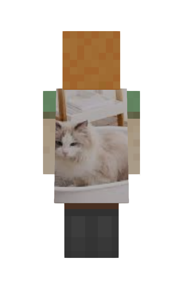 mcdoncraf's MinecraftCapes Cape
