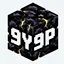 9Y9P server icon