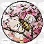HoneyBlossomSMP server icon