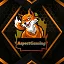 AspectGaming server icon