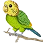 Budgie Network server icon