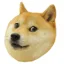 Derddys SMP Server server icon