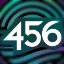 456s Legacy