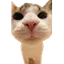 MeepCraft