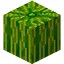 Meloncity server icon