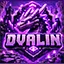 Dvalin Smp server icon
