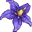 NightshadeSMP server icon