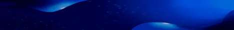Blue Rockets
