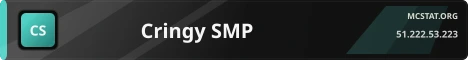 Cringy SMP