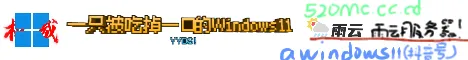 awindows11 server
