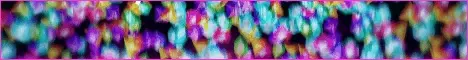 Alacity