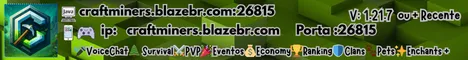 CraftMiners