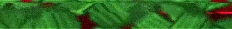 AppleMC