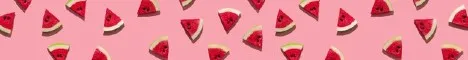 MelonSMP