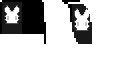 5SecondsOfSummer's OptiFine Cape