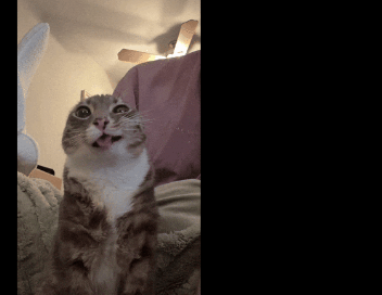 BendikB03_1's LabyMod Cape
