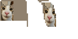 CheezStick_'s MinecraftCapes Cape
