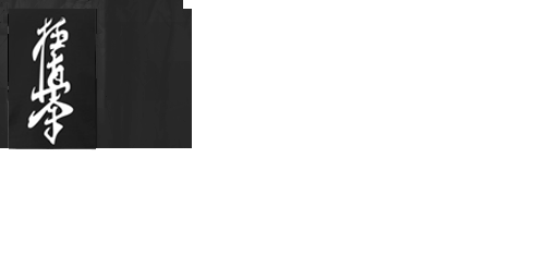 humanexoxo's MinecraftCapes Cape