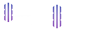 InvalidException's OptiFine Cape