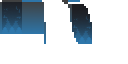 McPlayXD's OptiFine Cape