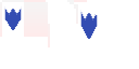 not_Warty's OptiFine Cape
