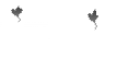 Pvat's OptiFine Cape