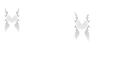 _Qbee's OptiFine Cape