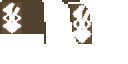 Reed's OptiFine Cape