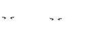 Riupi's OptiFine Cape