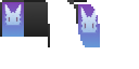 sacc21's OptiFine Cape
