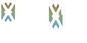 xRubbyx's OptiFine Cape