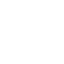 Avenian Network