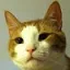 CatsCraft