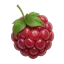 MCRaspi