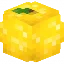 LEMONcube