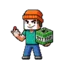 SignalSMP