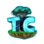 TogetherCraft