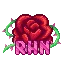 Rose Haven Network